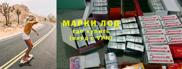 гашик Нея