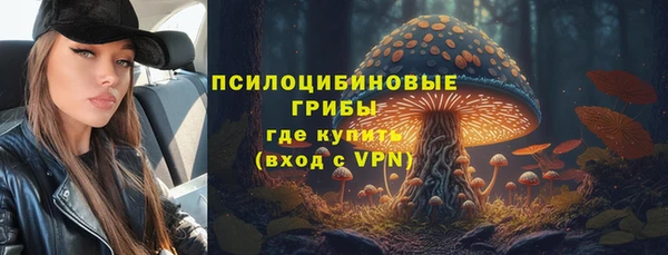 соль ск Абдулино