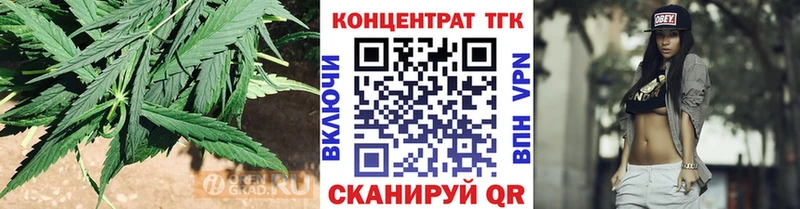 ТГК концентрат  цена   Холм 