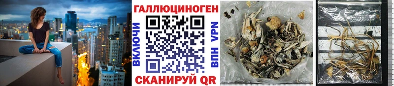 Псилоцибиновые грибы Magic Shrooms Холм