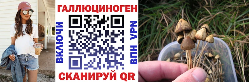 Псилоцибиновые грибы GOLDEN TEACHER даркнет сайт Холм